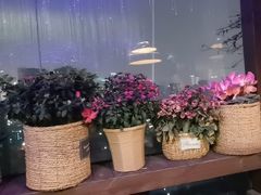 -萨芭蒂高空花园餐酒吧