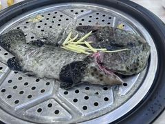 -船奇蒸汽海鲜·闽菜(八市海鲜总店)