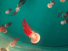 -多彩贵州城极地海洋世界