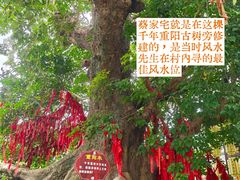 -蔡家宅