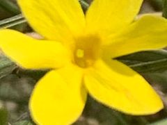 -西安市长乐公园