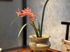 -31号公馆·百年府邸潇湘臻味