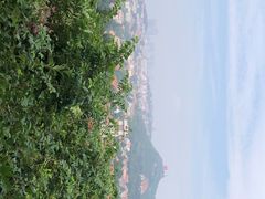 -青岛海滨风景区小鱼山