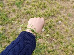 -汉长安城未央宫国家考古遗址公园