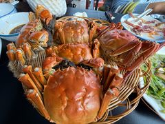 -渔娘蟹庄(阳澄湖莲花岛店)