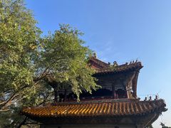 -北陵公园