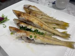 -欢乐海岸美食联盟