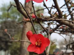 -成飞公园