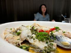 -陶缘一号·四季缘·老字号顺德菜·户外婚礼家宴(西滘店)