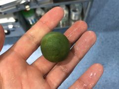-顺强宠物诊所·狂犬免疫·夜诊·骨科(嘉定店)