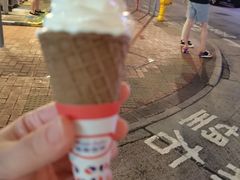 -富豪雪糕车流动点(尖沙咀店)
