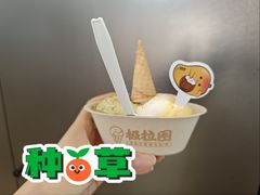 -极拉图·现制冰淇淋(大卫城店)