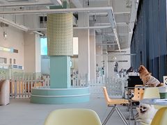 -怪兽屋·羊驼·猫咖·狗咖(俊华广场店)