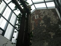 -瓦库茶馆17号(海汇港店)