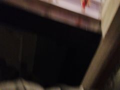 -Mr.Fox狐狸先生超级密室(南山店)