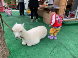 -萌宠亲子动物乐园(槐房万达店)