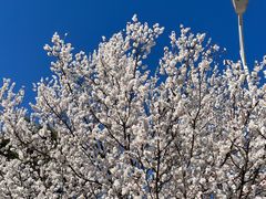 -鹫峰国家森林公园