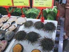 -蚝专家(北滘店)