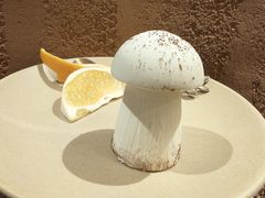 -滇野云南野生菌餐厅(陕西南路店)