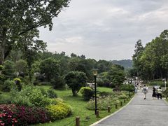 -东莞植物园