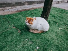 -李叔同故居纪念馆