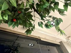 -仙踪林(北展店)