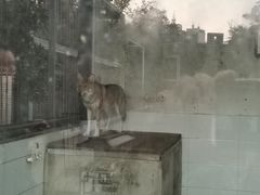 -水绘园