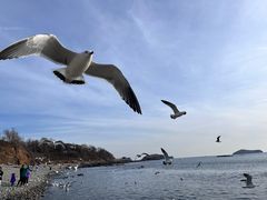 -大连长城大饭店(西安路地铁站店)