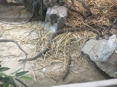 -荔城生鲜盛宴(番禺旗舰店)