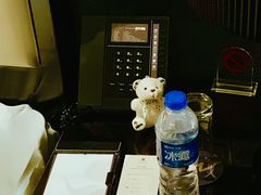 -常州环球恐龙城维景国际大酒店