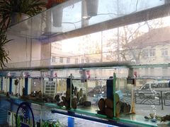 -富临港·蒸汽海鲜·手抓海鲜·炒菜(栈桥店)