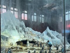 -帝企鹅自助餐厅•儿童岛•真企鹅(长隆企鹅酒店)