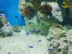 -福州罗源湾海洋世界旅游区