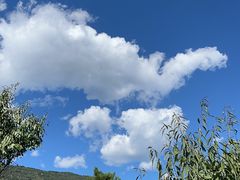 -鹫峰国家森林公园