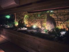 -天水蔬食料理(树德之光店)