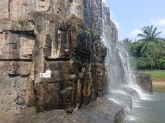 -海南热带野生动植物园