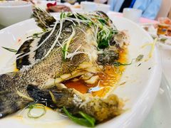 -金茂园大酒店