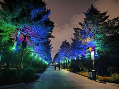 -长春市南湖公园