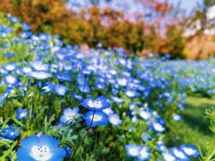 -雨花胜境