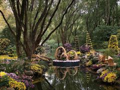 -上海共青森林公园