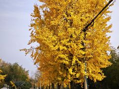 -天目湖御水温泉·度假酒店