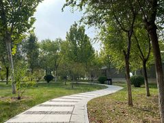 -水西公园