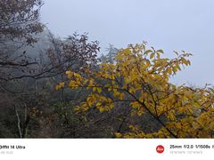 -尧山风景区