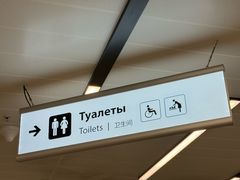 -谢列梅捷沃国际机场