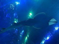 -成都浩海立方海洋公园