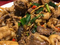 现杀果园鸡—黄焖鸡-生态苑农庄(十里画廊遇龙河店)