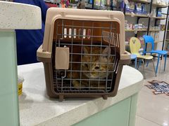 -佳雯宠物医院·皮肤科·内外科(春晓路分院)