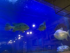 -韩礼年糕(飞虹路店)