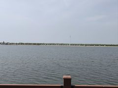 -呼兰河口湿地公园