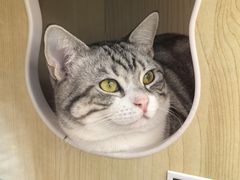 -小街天府(西工小街店)